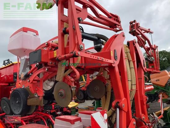 Sembradora monograno mecanica - Maschio - manta 8-reihig