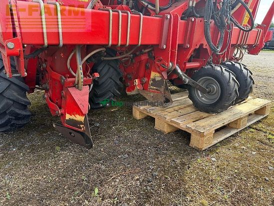 Cosechadora - arrancadora de patata - Grimme - gl34 kl
