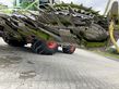 Cabezal - Claas - orbis 900 3t