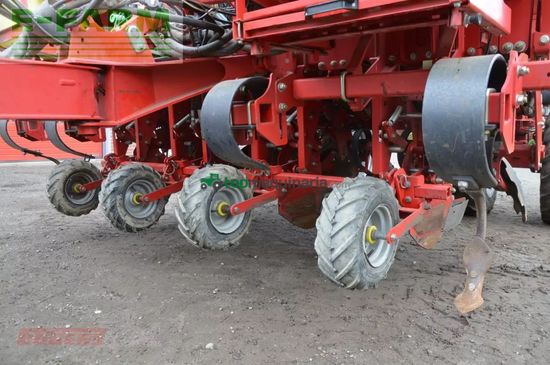 Cosechadora - arrancadora de patata - Grimme - gb 430