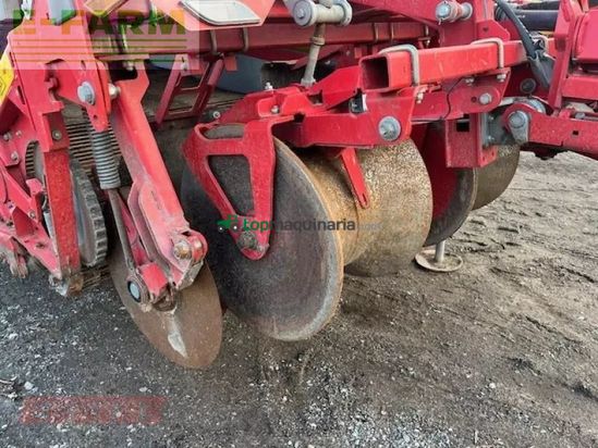 Cosechadora - arrancadora de patata - Grimme - evo 280 clodsep 17