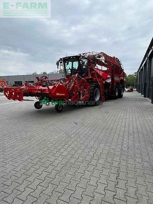 Cosechadora de Cereal - Grimme - rexor 6300 platinum