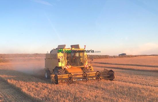 Cosechadora de Cereal - New Holland - TX66