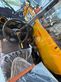 Telescopica - JCB - 525-60-e
