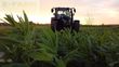 Tractor agrícola - Valtra - g135 smarttouch cvt