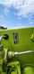 Cosechadora de Cereal - Claas - LEXION 630