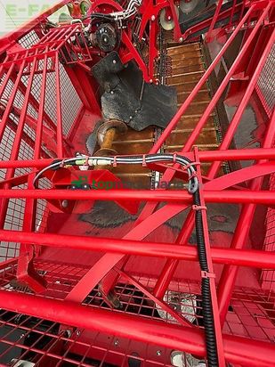 Cosechadora de Cereal - Grimme - rexor 6300 platinum