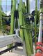 Rastrillo - Claas - liner 4000 comfort