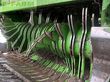 Empacadora gigant - Krone - comprima v 150 xc