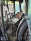Tractor agrícola - New Holland - tn-v 55