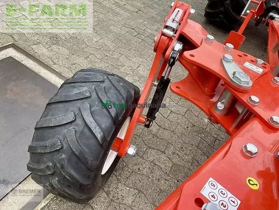 Arado - Maschio - unico m passo 4+