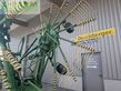 Rastrillo - Krone - swadro 1401