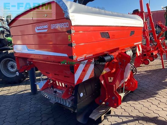 Esparcidor - Maschio - primo ew3