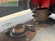 Cortacésped manual - Massey Ferguson - dm 357
