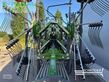 Rastrillo - Fendt - former 10065
