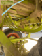 Empacadora gigant - Claas - quadrant 1150