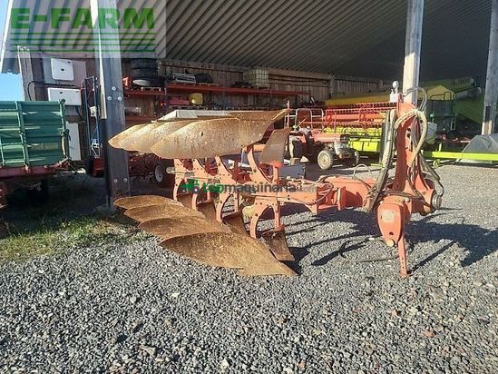 Arado - Maschio - unico 4+1 non stop