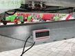 Cinta transportadora de forraje - Fliegl - taurus asw 271 | dosierwalzen