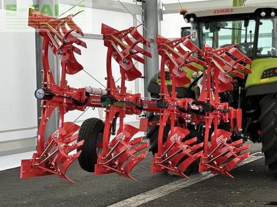 Arado - Maschio - unico m passo 4+ non stop