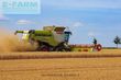 Cosechadora de Cereal - Claas - lexion 780 tt *allrad* + v1230