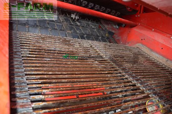 Cosechadora - arrancadora de patata - Grimme - evo 280 clodsep gen ii