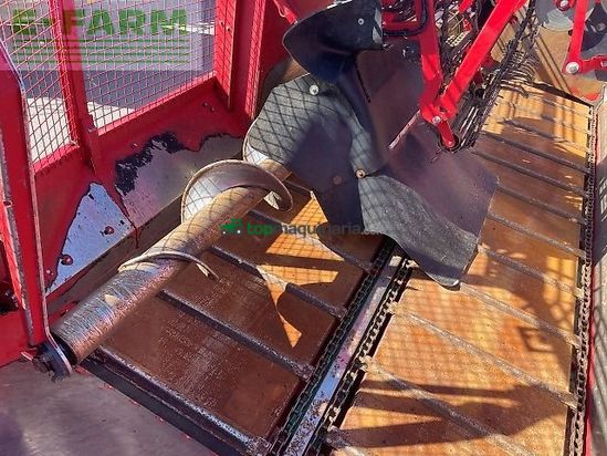 Cosechadora de Cereal - Grimme - rexor 6300 platinum