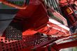 Cosechadora - arrancadora de patata - Grimme - evo 260 clodsep