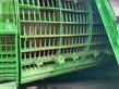 Cosechadora de Cereal - John Deere - x9 1100