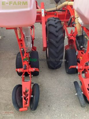 Sembradora monograno mecanica - Maschio - manta 8-reihig