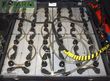 Elevadora - Linde - e 18 l evo 386-02