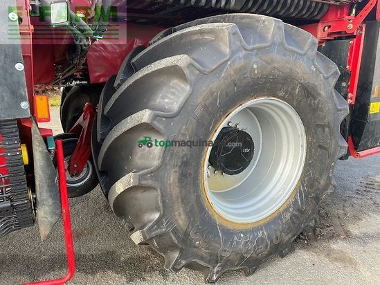 Cosechadora de Cereal - Grimme - rexor 620