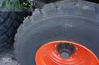 Cinta transportadora de forraje - Claas - cargos 750 trend