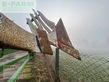 Arado - Amazone - hektor