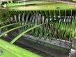 Empacadora gigant - Krone - fortima v 1800 mc