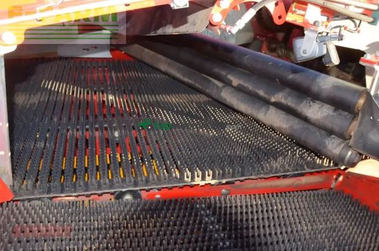 Cosechadora - arrancadora de patata - Grimme - evo 280 clodsep gen ii