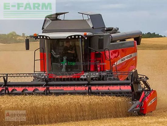 Cosechadora de Cereal - Massey Ferguson - 7360 beta