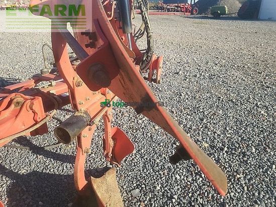 Arado - Maschio - unico 4+1 non stop