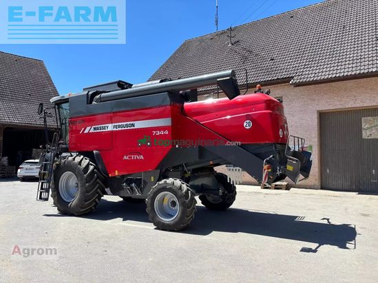 Cosechadora de Cereal - Massey Ferguson - 7344