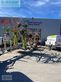 Rastrillo - Claas - liner 3600 comfort