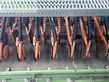 Sembradora - Amazone - ad-p 302 airstar profi ke 303