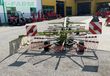 Rastrillo - Claas - Liner 650 TWIN