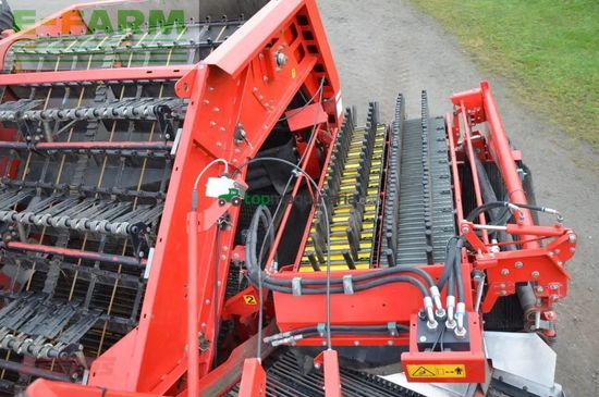 Cosechadora - arrancadora de patata - Grimme - se 260 ub