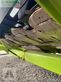 Cabezal - Claas - direct disc 600
