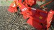 Grada rotativa - Maschio - h-205