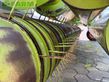 Cabezal - Claas - pu 300 hd profi