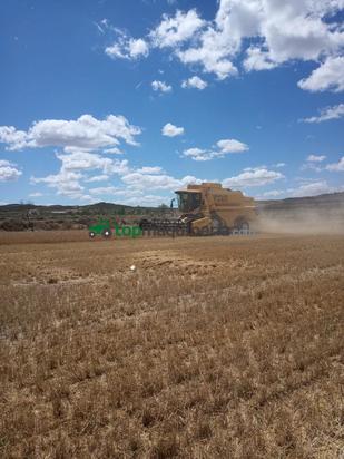 Cosechadora de Cereal - New Holland - TX66
