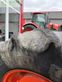 Tractor agrícola - Kubota - tracteur agricole m8560dthq kubota
