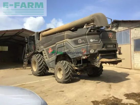 Cosechadora de Cereal - Massey Ferguson - ideal 8 pl 4 rm