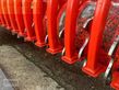 Grada rotativa - Maschio - sc 280 + zahnpackerwalze