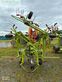 Henificador - Claas - volto 770